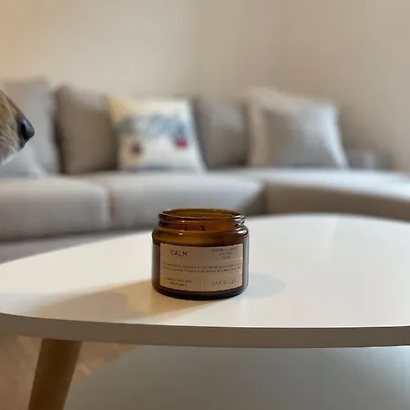 Idealement Situe * Ax-les-Thermes